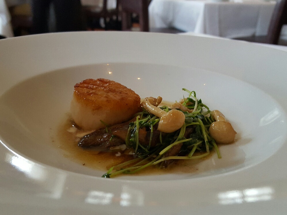 Milwaukee- Scallops